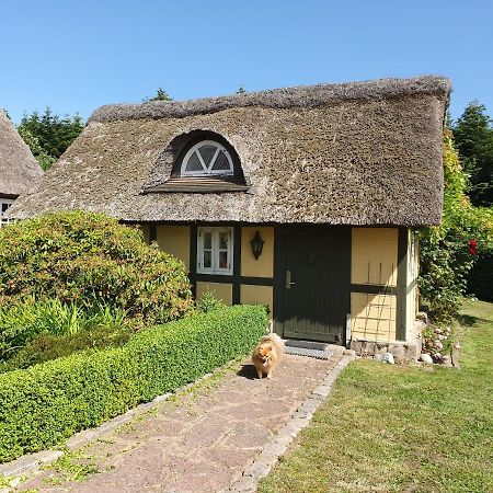Zara'S B&B Horsens Exterior photo